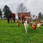 Le Ranch Normand Casa vacanze Les Cresnays