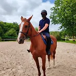 Le Ranch Normand Casa vacanze