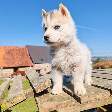 Le Ranch Normand * Les Cresnays