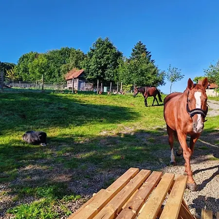 Le Gite Du Ranch Normand * Les Cresnays
