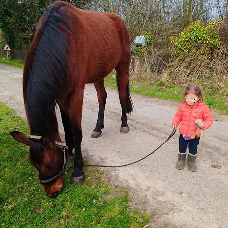 Le Gite Du Ranch Normand