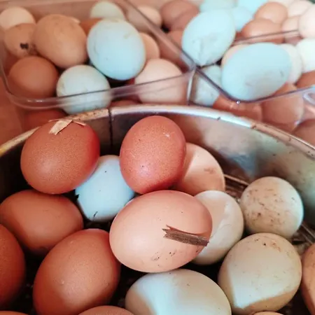 Le Ranch Normand Nyaraló Les Cresnays