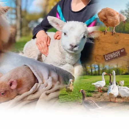 Le Ranch Normand Σπίτι διακοπών Les Cresnays