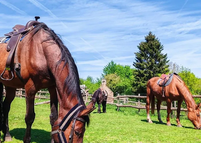 Le Ranch Normand Les Cresnays
