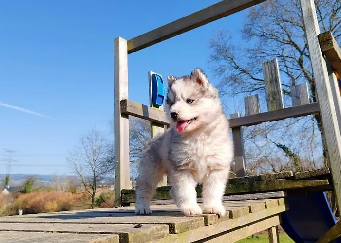 Ferienhaus Le Ranch Normand Les Cresnays