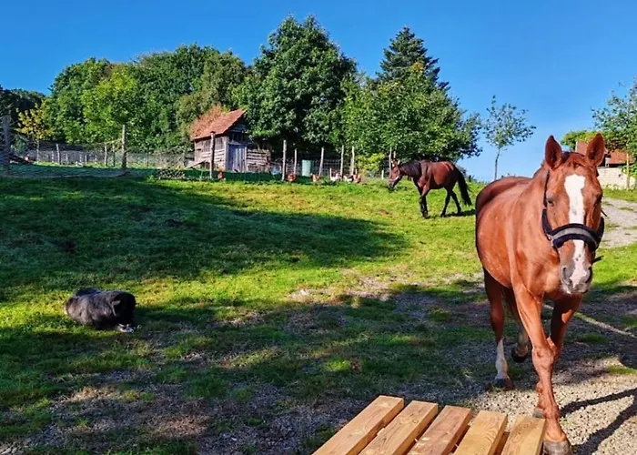 Le Ranch Normand * Les Cresnays
