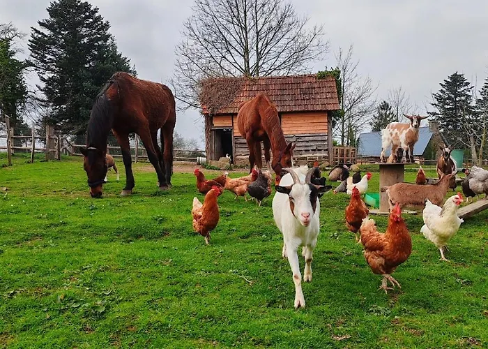 Le Ranch Normand Ferienhaus Les Cresnays