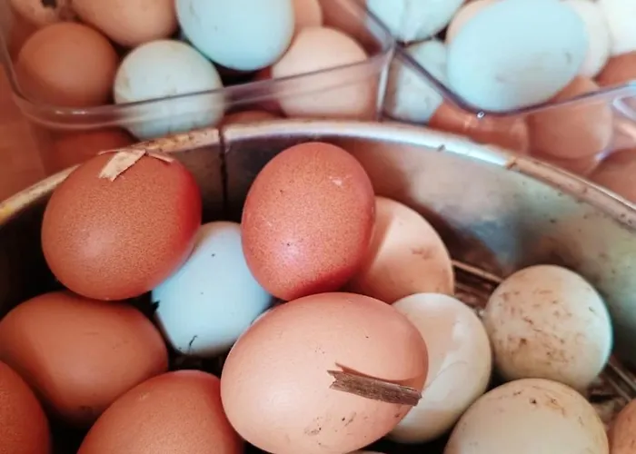 Le Ranch Normand Ferienhaus Les Cresnays