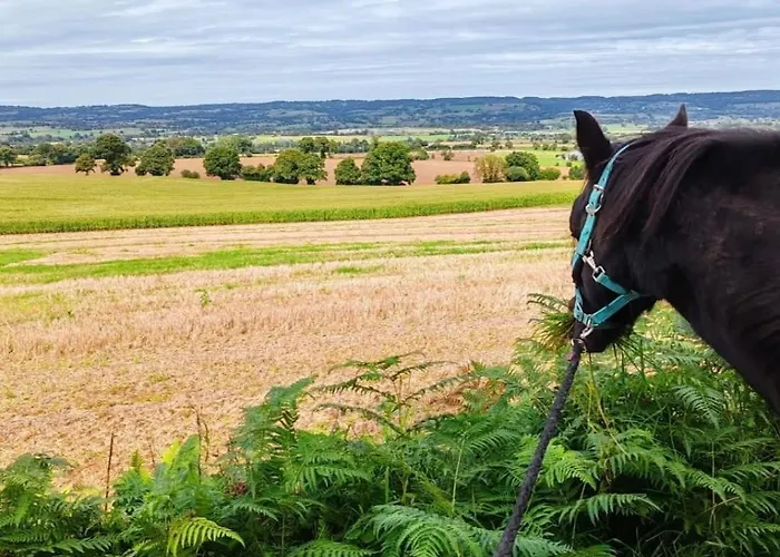 Ferienhaus Le Ranch Normand *