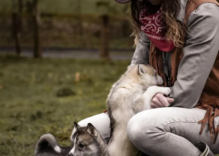 Le Ranch Normand Les Cresnays